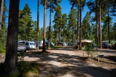 Camping-Hauptweg